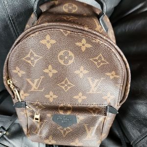 Louis vuitton palm spring mini